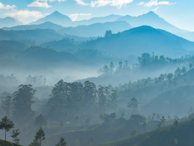 中国·9091美高梅(股份)有限公司-官方网站